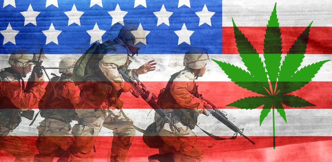 ConnecticutHemp's tweet photo. Who's with us? @Cannabis_Summit Starts tomorrow. Get 15% off by using code 1731TW15
https://t.co/5csxYxho0E
Meet Canna Industry Experts #THC https://t.co/8hdjBIwU8E