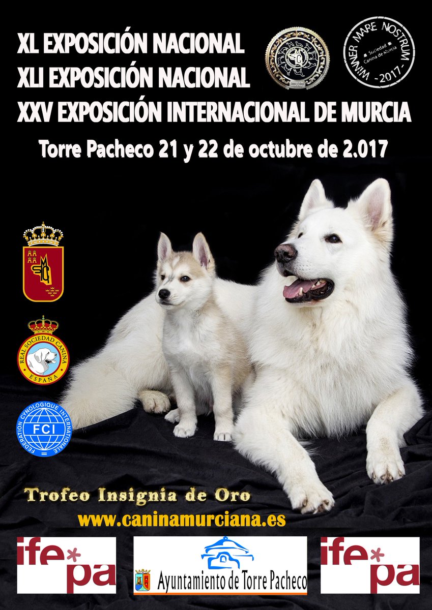 ExpoDogs's tweet photo. Las Exposiciones de Otoño de la Región de Murcia (Torre Pacheco) tiene el plazo de inscripciones abierto https://t.co/ST3uJg17AB