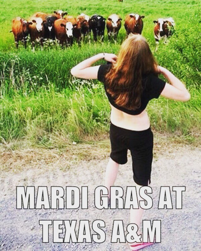 raylo68's tweet photo. #Hookem https://t.co/UMbfjhO4f0