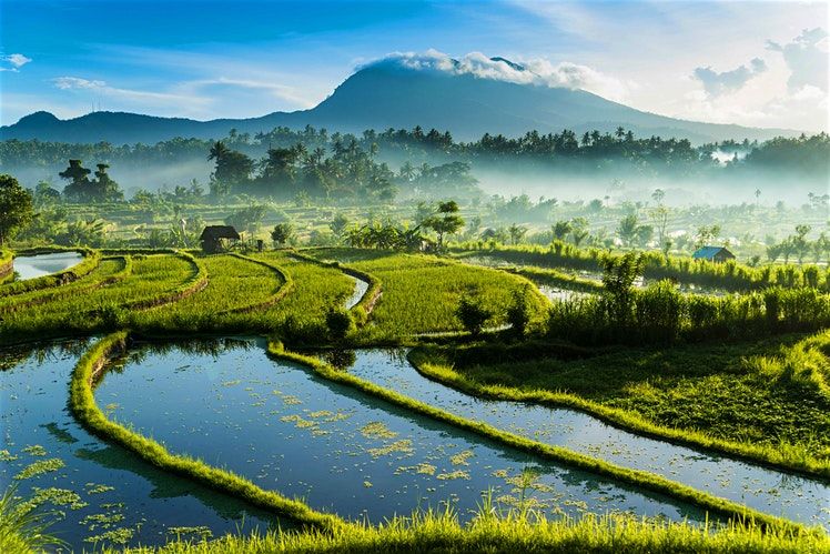 ownrides's tweet photo. Off the tourist trail in Bali: the best less-visited spots https://t.co/9g76z6fPUQ https://t.co/hV1wZE5qbr