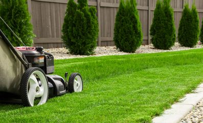 AllsolutionsArg's tweet image. Lo guiamos para el diseño de su jardín que tanto ha soñado. Incluso le ofrecemos el mantenimiento del mismo luego de haberlo hecho realidad