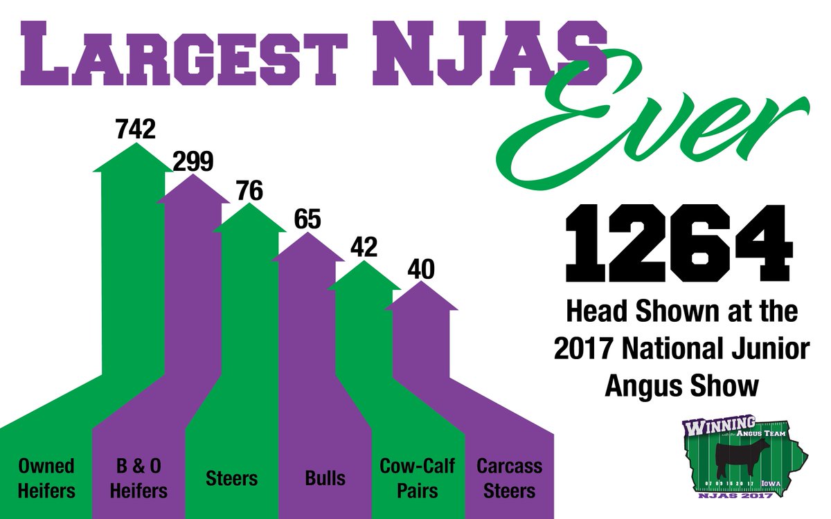 AngusAssoc's tweet photo. RT @JrAngusAssoc: The 2007 record has been BROKEN! #NJAS17 was the largest junior nationals ever! https://t.co/673nastdmo