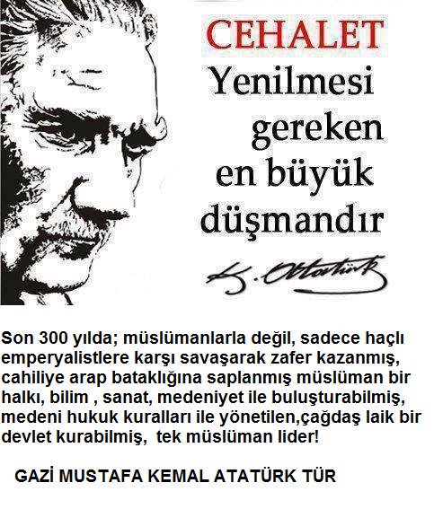 nailunluu's tweet photo. https://t.co/AmhbppDtNX