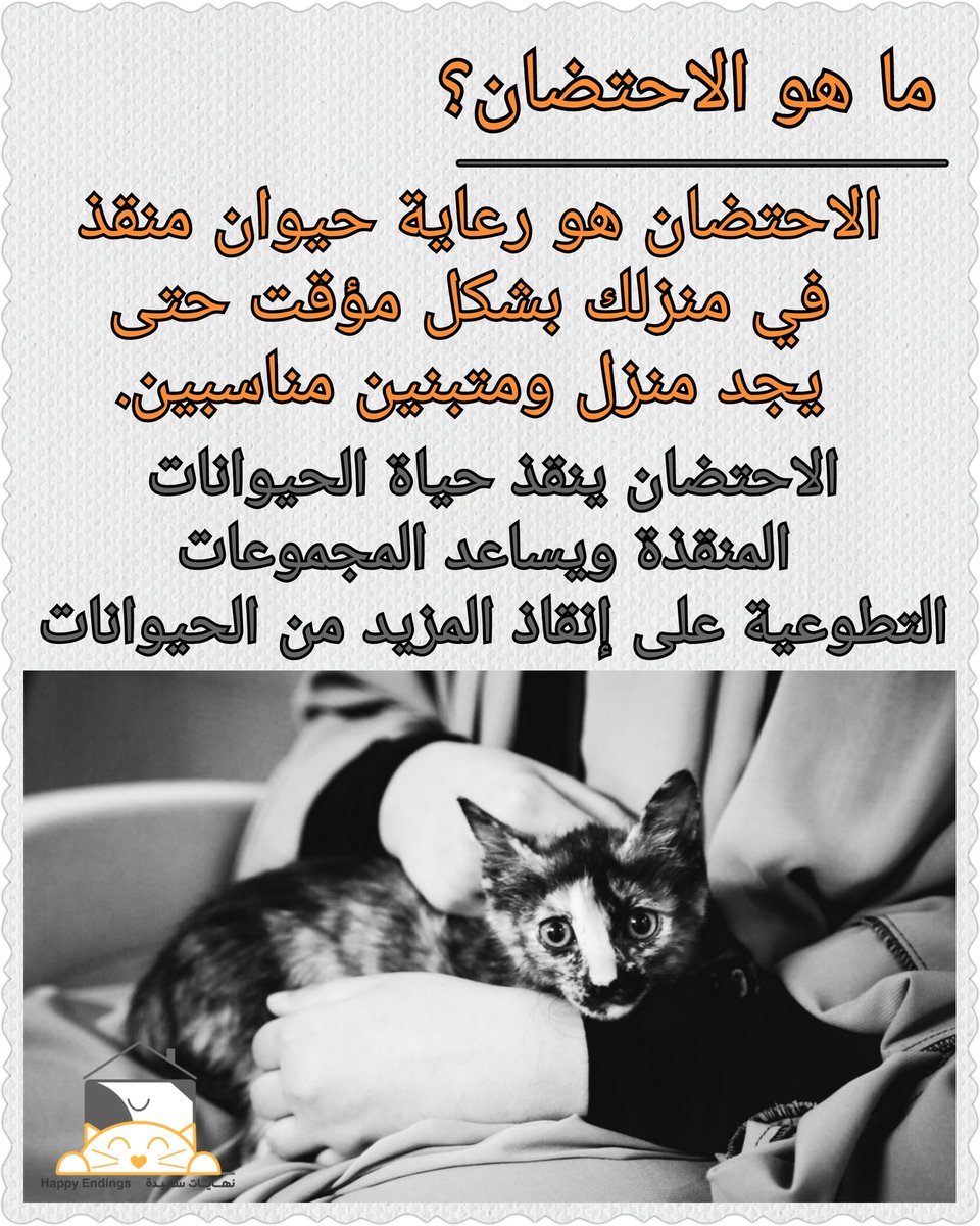 نحن بحاجة ماسة إلى بيوت حاضنة لقططنا المنقذة في المنطقة الشرقية( الخبر،الدمام،الظهران، الجبيل)