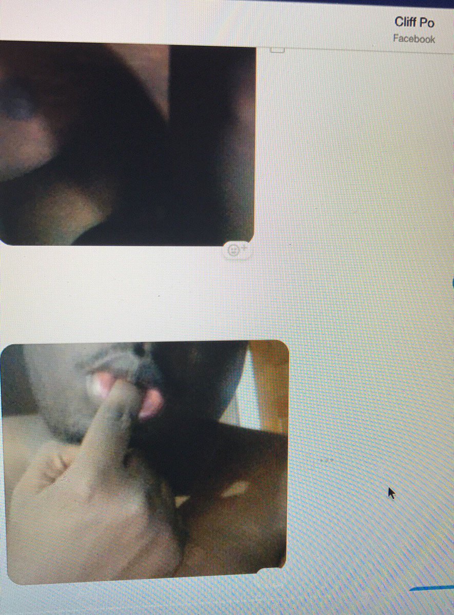 TheCosignedOnly's tweet image. I don’t care anymore