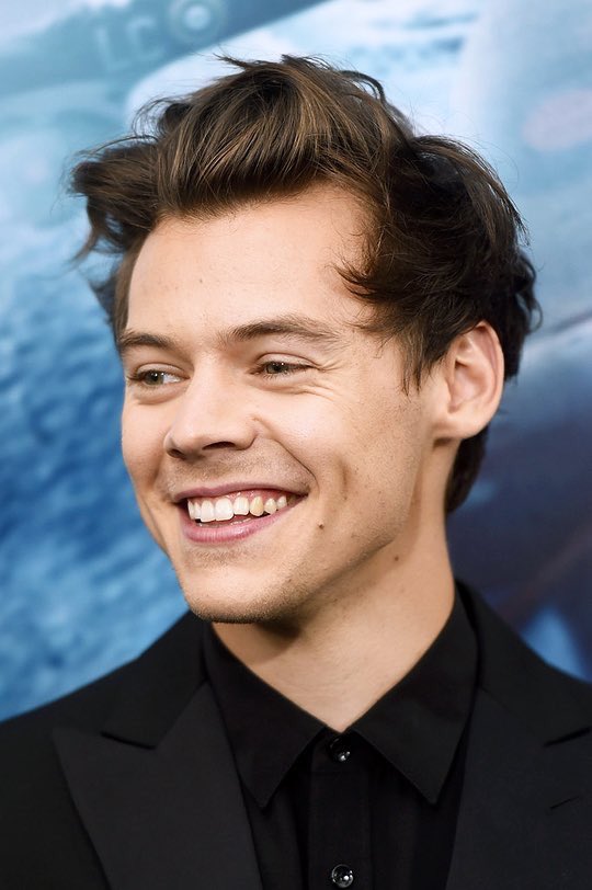 1D_24hNews's tweet photo. Harry at the #DunkirkPremiere in New York City last night!! 

#HarryStyles #Harry #Styles #HarryInDunkirk #Dunkirk #DunkirkMovie https://t.co/JH0XqSPYwX
