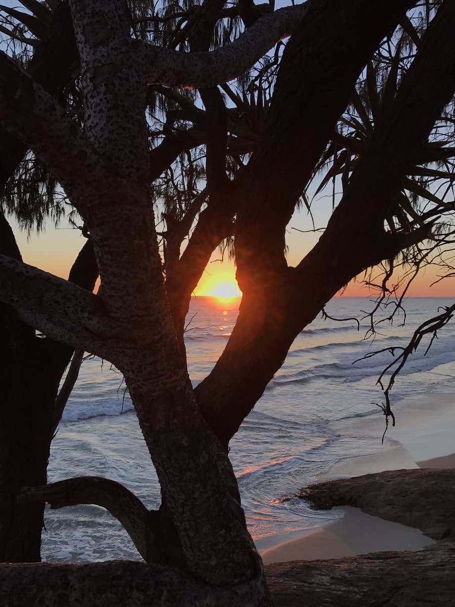 scorrell's tweet image. A perfect trip to Australia only to be spoiled by @AmericanAir losing my surf board. They say they can't locate it 😭