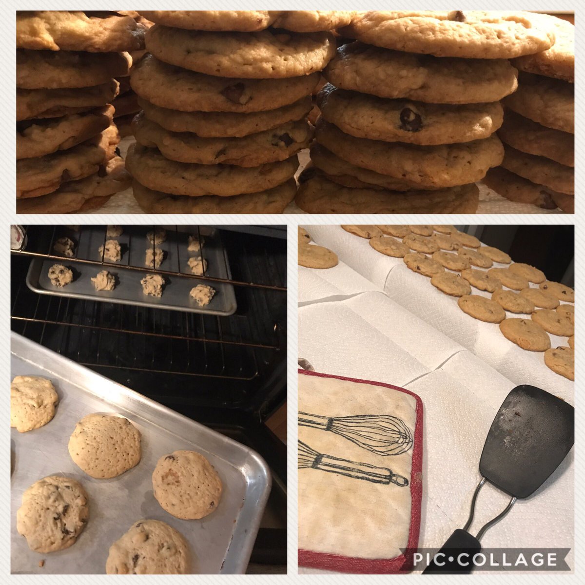 stacystafford_'s tweet photo. Mass cookie production is in full swing!
#whenyoucanbake...bake! #lovefromscratch #cookietime #bestcookieever #chocolatechip https://t.co/qSmJlTxFOU