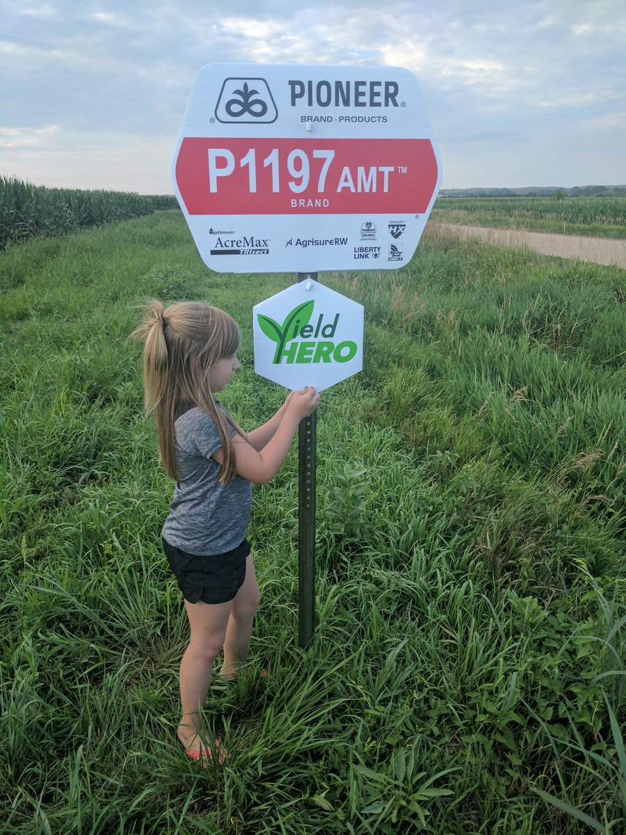 ordseedsolution's tweet photo. Great night for putting up some field signs! Even had a little help! @PioneerNebr #P1197AMT #yieldhero https://t.co/YTV3oenXF0
