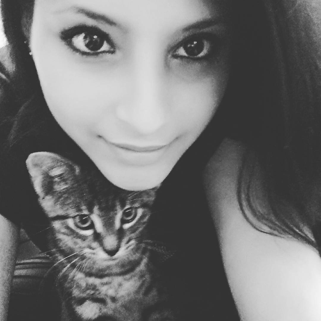 MomoTheKat's tweet photo. https://t.co/er8dsGfl6V