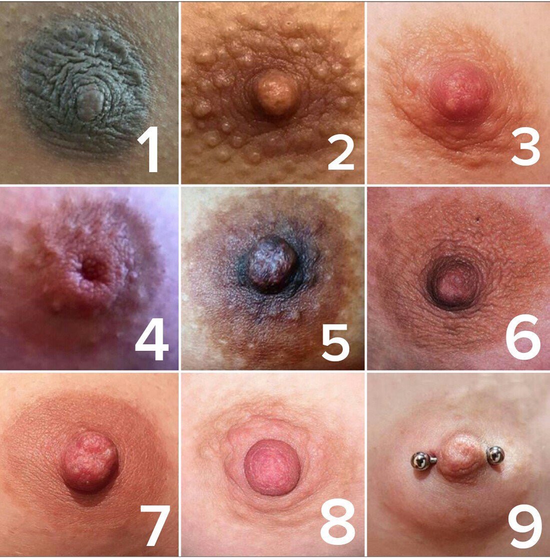 CanijaVerija's tweet photo. Sean sinceros y cual escala son https://t.co/fROAHOo0uK