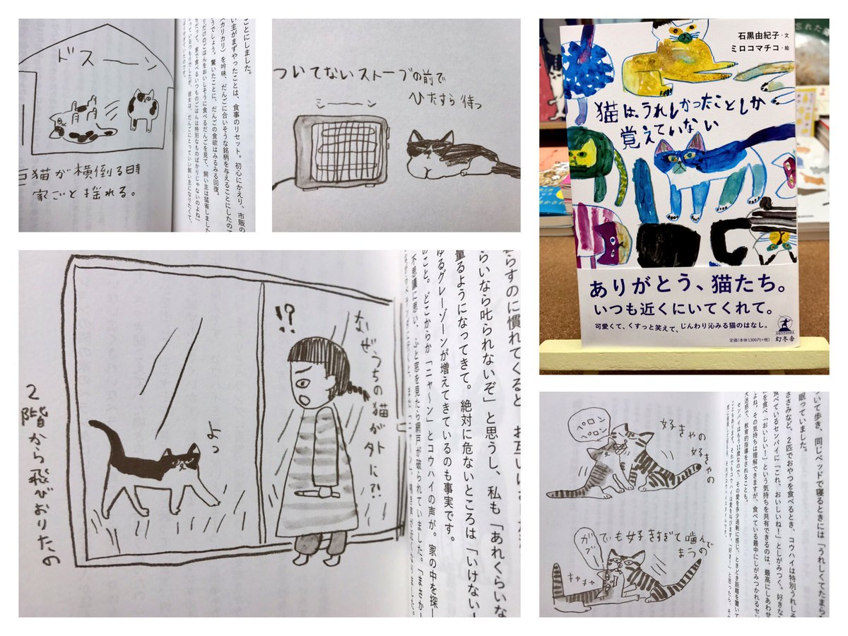 猫本専門 神保町にゃんこ堂 姉川書店 猫は 命いっぱい生きている 猫は うれしかったことしか覚えていない エッセイスト 石黒由紀子 画家 ミロコマチコが贈る 思わずクスッ 思わずジーン 猫のはなし 過去にとらわれたり先々を思い悩むより 今を 猫本専門 神保町にゃんこ堂 姉川書店 猫は 命いっぱい生きている 猫は うれしかったことしか覚えていない エッセイスト 石黒由紀子 画家 ミロコマチコが贈る 思わずクスッ 思わずジーン 猫のはなし 過去にとらわれたり先々を思い悩むより 今を