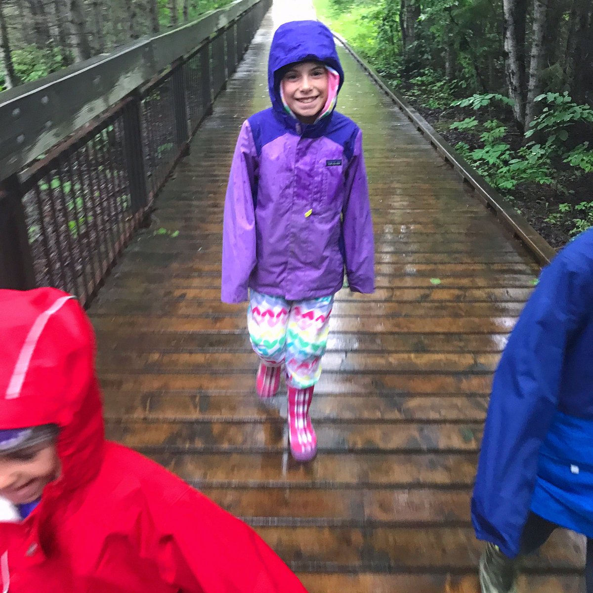 rollingwithvan's tweet photo. Walking in the rain @ECAlertON145 #kakabekafalls. #ontario is wet! #drivecanada #explorecanada #outdoorfam #activeforlife #rollingwithvan https://t.co/UvpjVNx30Z