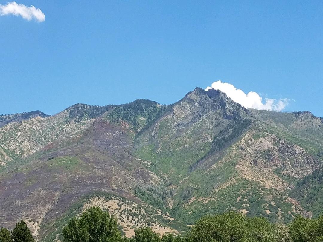 UWCNF's tweet photo. #uwcnf #WaterTowerfire is now 75% contained 397 acres, fire personnel will continue to monitor the fire. https://t.co/GXVhmCCgDq