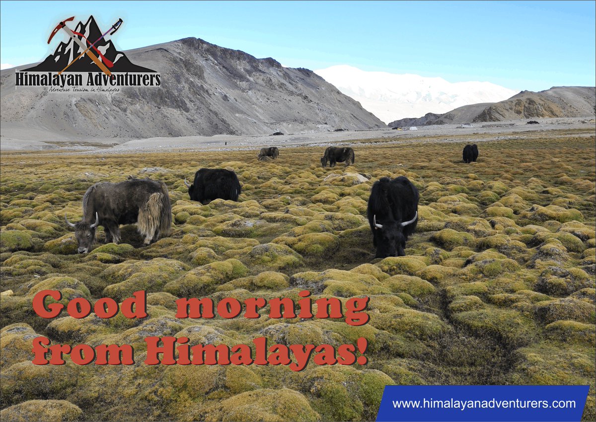 Roopchandnegi's tweet image. We operate tours in the Indian Himalayas since 1986. Visit our website for dozens of itineraries himalayanadventurers.com