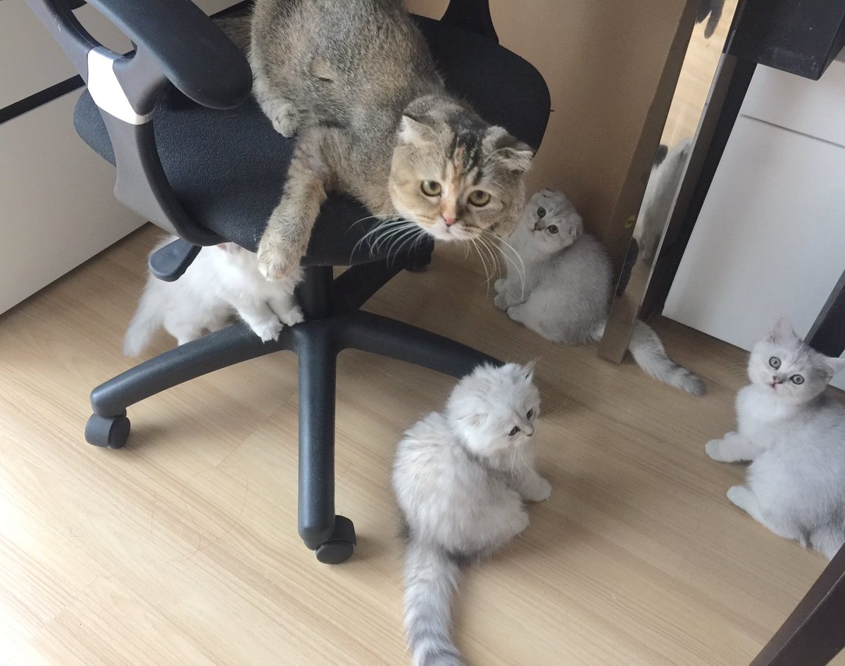 Bonusiie's tweet photo. ท่าหนีลูกหรอบีน่า 55 https://t.co/VGOFp0xaVX