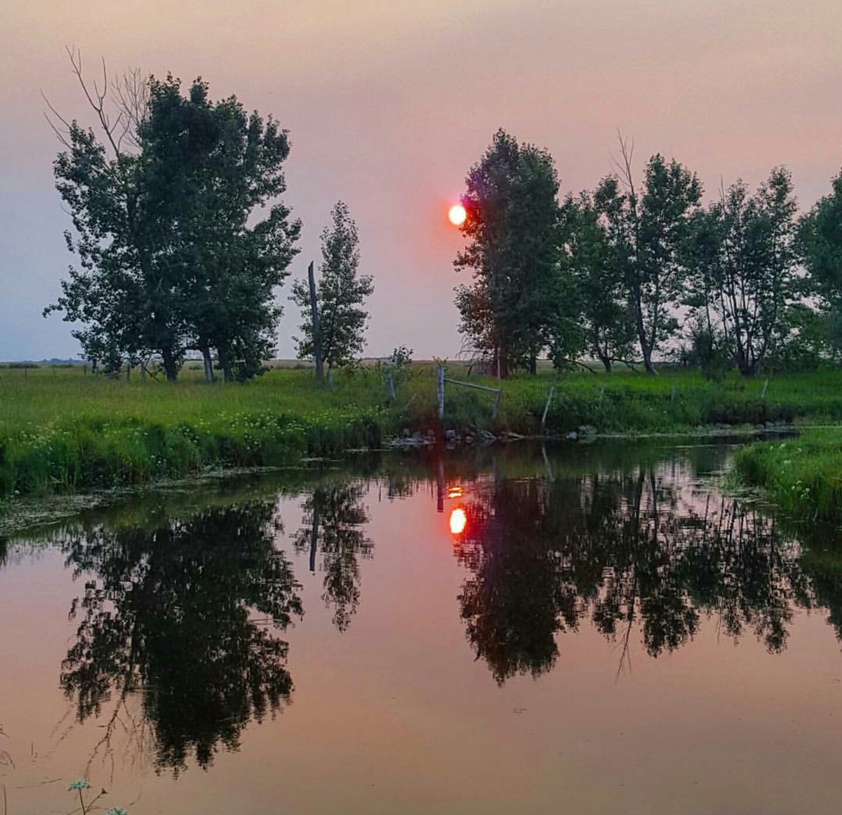 TKRanch's tweet image. Smoke from the BC fires turning the sun red again this evening. A terrible situation, I feel sorry for those folks.#drought17 #rainneeded