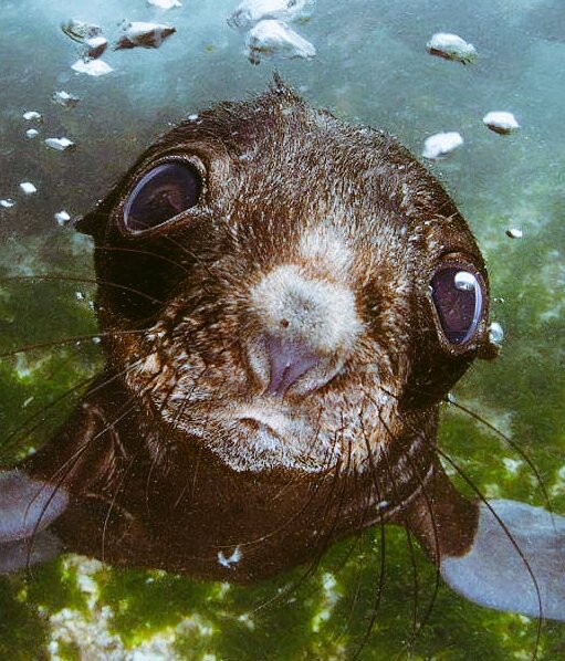 Anshark21's tweet image. Cuando de repente en la calle pasa una chica y te dice... &quot;Adiós Guapo&quot; #AlgoNormal