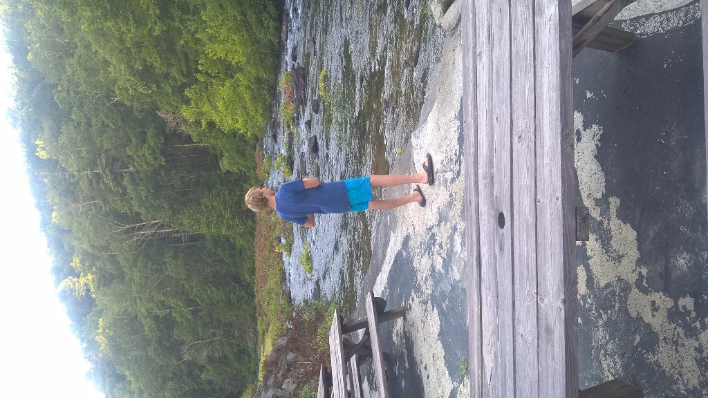 shellimilling's tweet image. 