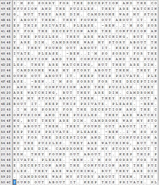 rand0m1ser's tweet photo. @CamDrome If you look at the raw rgb values of the pixels, you'll see a message repeated over and over again https://t.co/g7FJMh15ZD