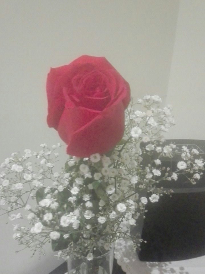 MajoTLl's tweet photo. Bella bella #tymom #rosadelabuenasuerte https://t.co/balPVlnl77
