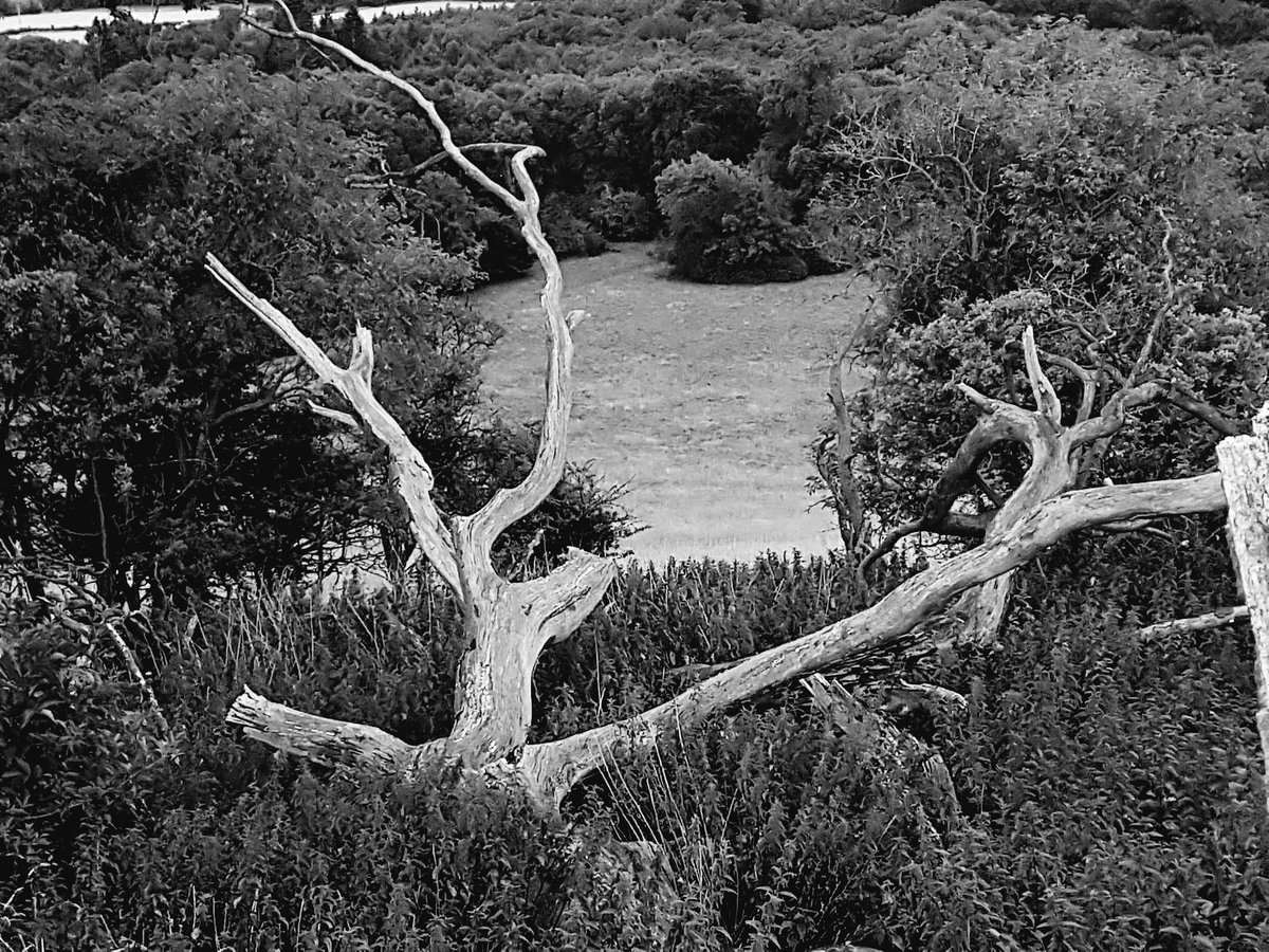 Offone47's tweet photo. #offone #blackandwhitephotography https://t.co/78kEUOFeJk