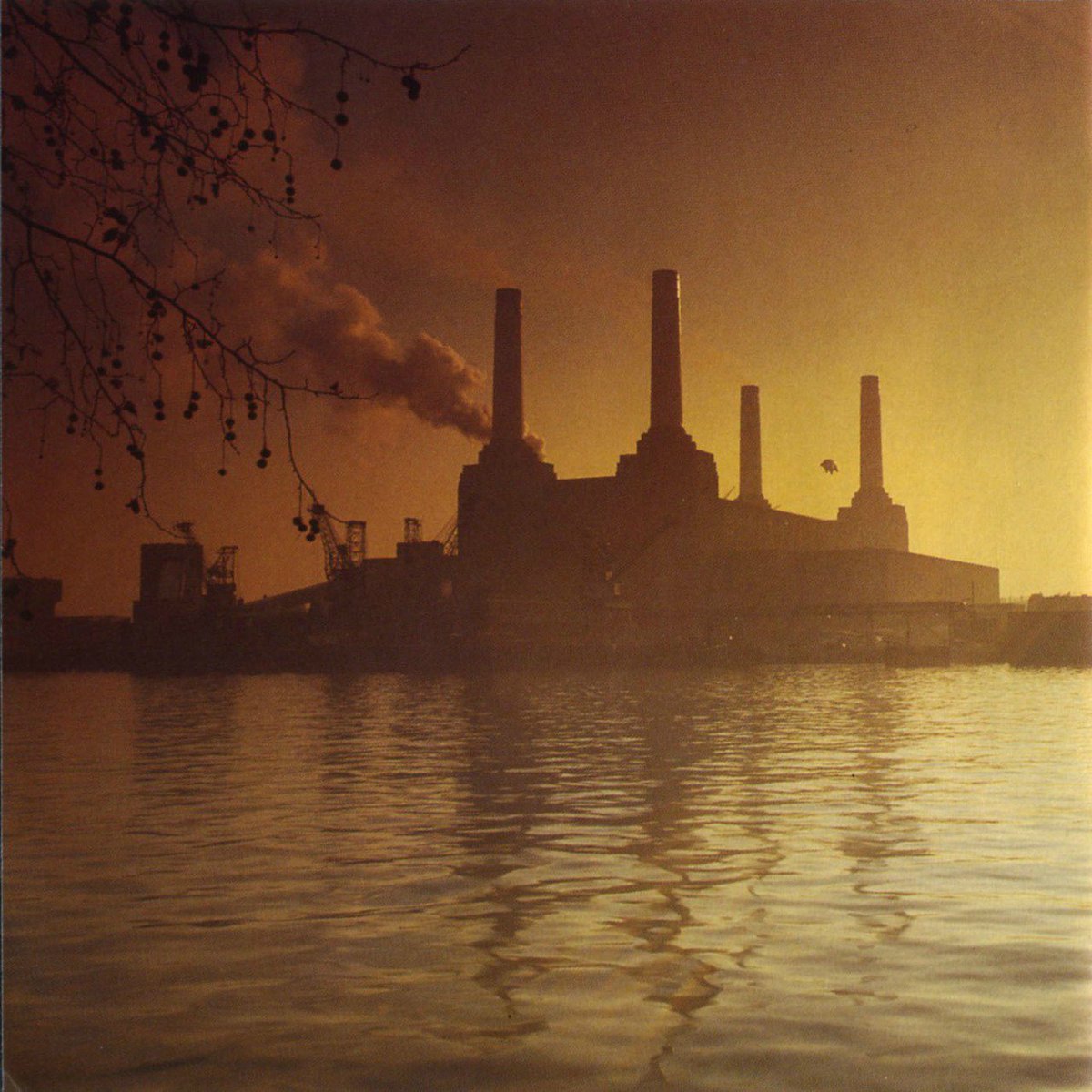 Just_pinkfloyd's tweet photo. Animals https://t.co/c4nUdhhogK