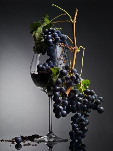 bluegrass_jkt's tweet photo. Hey, we're back!! Let's hang and cheers for tonight we have "UNCORKED" with Castello Banfi! Reserve your seats now before it's gone! See you https://t.co/X69tKCJzCR