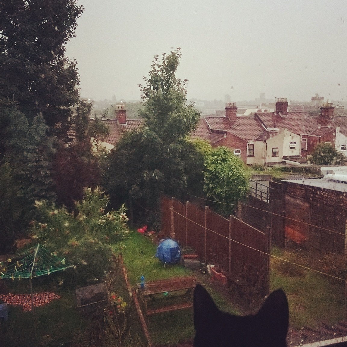 LongwaterTweets's tweet photo. #Perfection #peace and #tranquility. Fantastic #storm over the #finecity #Norwich this morning. Much needed #rain for our #beautiful #crops. https://t.co/siNWg0U2FW