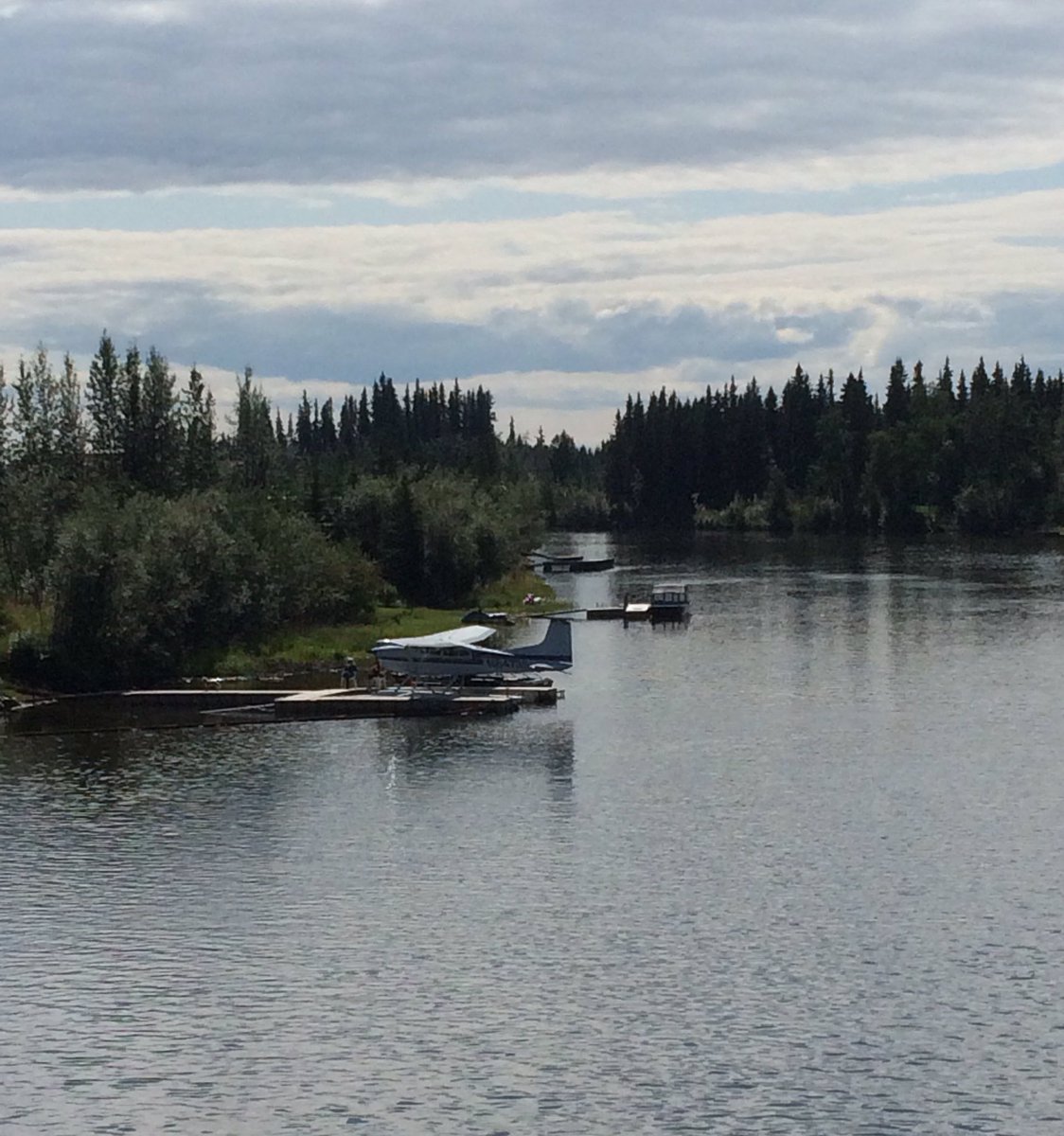 ajbw3a's tweet photo. Who needs a boat anyway?! Beautiful day on the Chena River #SimplyTrafalgar #trafalgarinsider https://t.co/eoV2GwcaU0