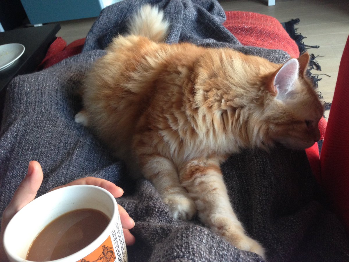 Baruch Von Pankakes tweet media