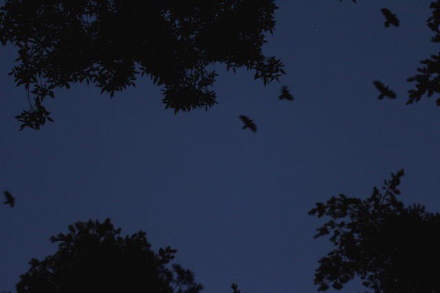 A Sᴡɪss ᴄʜɪʟᴅ ʟᴀɪᴅ ɪɴ ᴛʜᴇ ɢʀᴀss ᴀs ʜᴇʀ ᴅʏɪɴɢ ʜᴏᴜʀ ᴛɪᴄᴋᴇᴅ.

A ᴠᴏɪᴄᴇ ᴀsᴋᴇᴅ ʜᴇʀ, "Wʜᴀᴛ ᴡᴏᴜʟᴅ ʏᴏᴜ ᴅᴏ ᴛᴏ ʟɪᴠᴇ?"

Aɴᴅ ᴛʜᴇ ᴄʜɪʟᴅ sᴀɪᴅ, "Aɴʏᴛʜɪɴɢ."