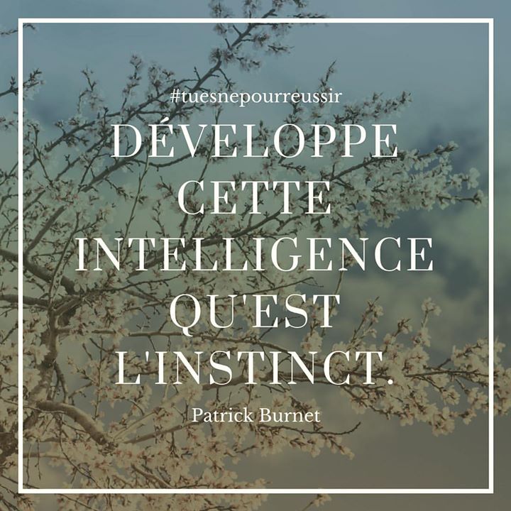 Burnetpatrick's tweet photo. ✅ Développe ton #intelligence intuitive, cette intelligence qu'est l'#instinct ! #patrickburnet #coach #TNPR #tuesnepourreussir #intuition https://t.co/0bDQaehmXL
