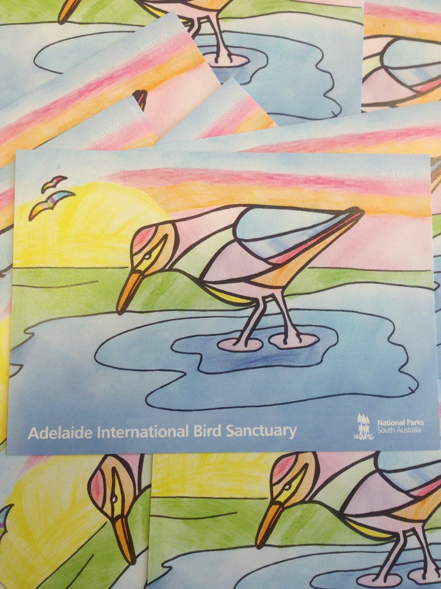 BirdSanctuarySA's tweet photo. Check out our new postcard! It's the Winner of our 2017 World Migratory Bird Day colouring competition - judges choice, Chelsea M aged 7 pic https://t.co/ousq6U3ZHX