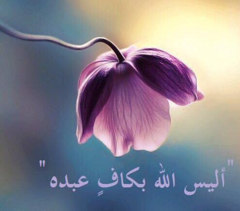 "ما يفتح الله للناسِ من رحمةٍ فلا ممسك لها"
كُن قريرالعين ، مطمئناً موقناً ، و واثقاً بأن لا أحديستطيع أن يغلق باباً فتحه الله لك فلا تقلق