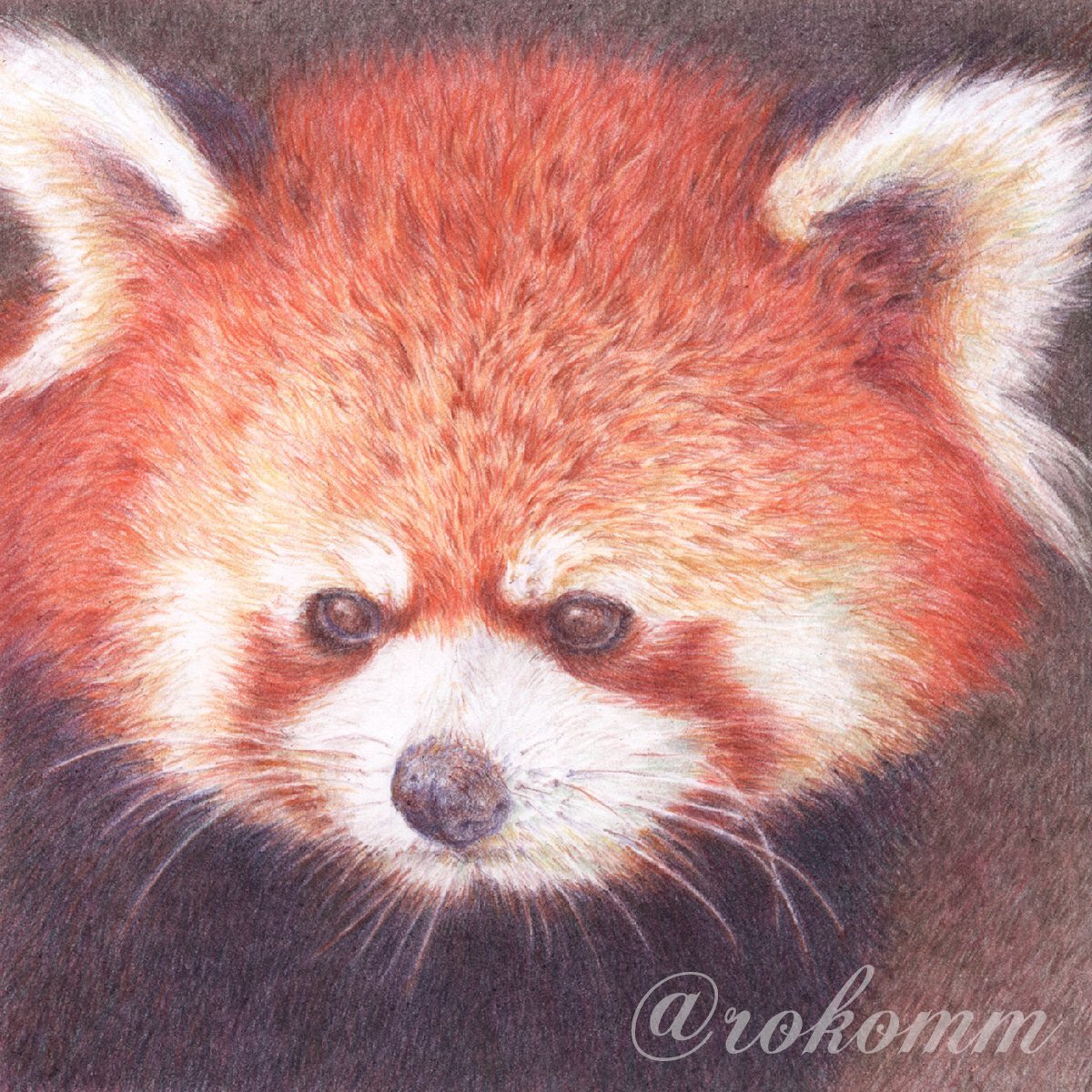 動物のイラストだけで興味を持ってくれる方へ届け