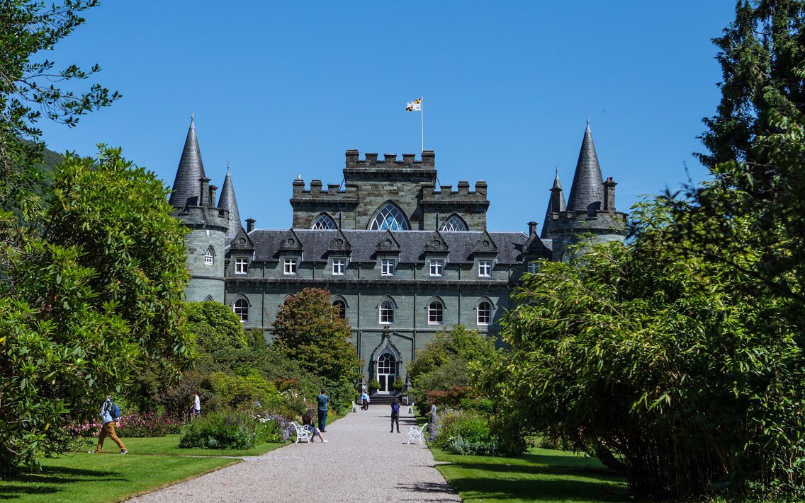 Eco Nature Homestead tweet media