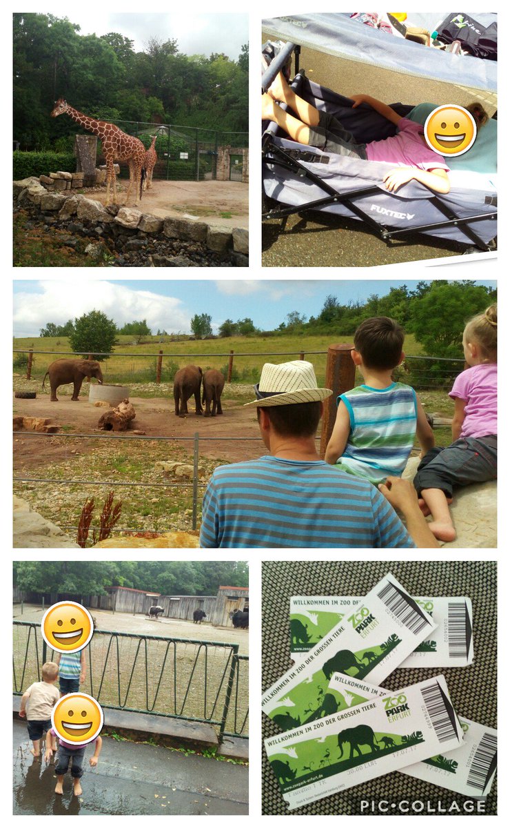 TaMuSabineHahn's tweet photo. #Zoo #Zoo Erfurt #Erfurt #Kinder #Familie #Ausflug #Ausflugsziel #Familienausflug #Ferien #Tiere https://t.co/Jolm8RMlBA
