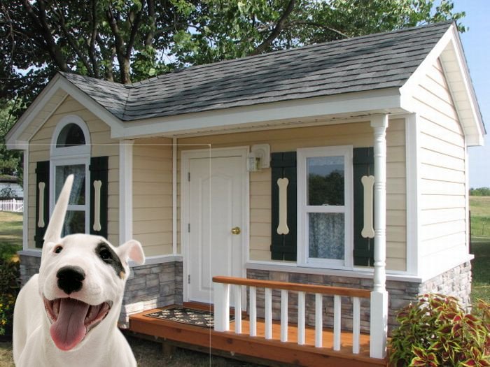 MarioPapolis's tweet image. Trump supporter 😀😀😀.Friendly and heart kinded.God bless🇺🇸🇺🇸