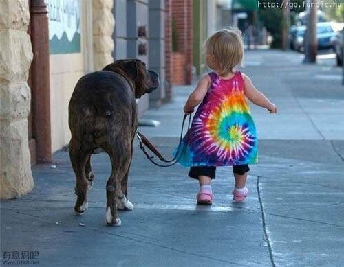 VetSelectDog's tweet photo. #LoënChildren | Mercredi, jour des enfants 👶 https://t.co/hHoz0LvGFP