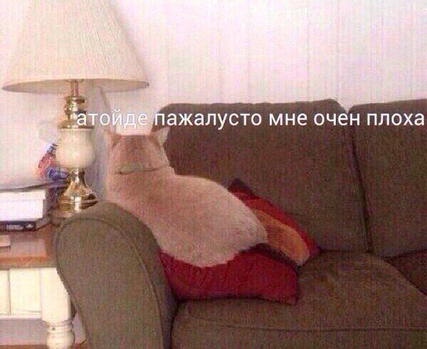 lunar eclipse 🇱🇻 tweet media