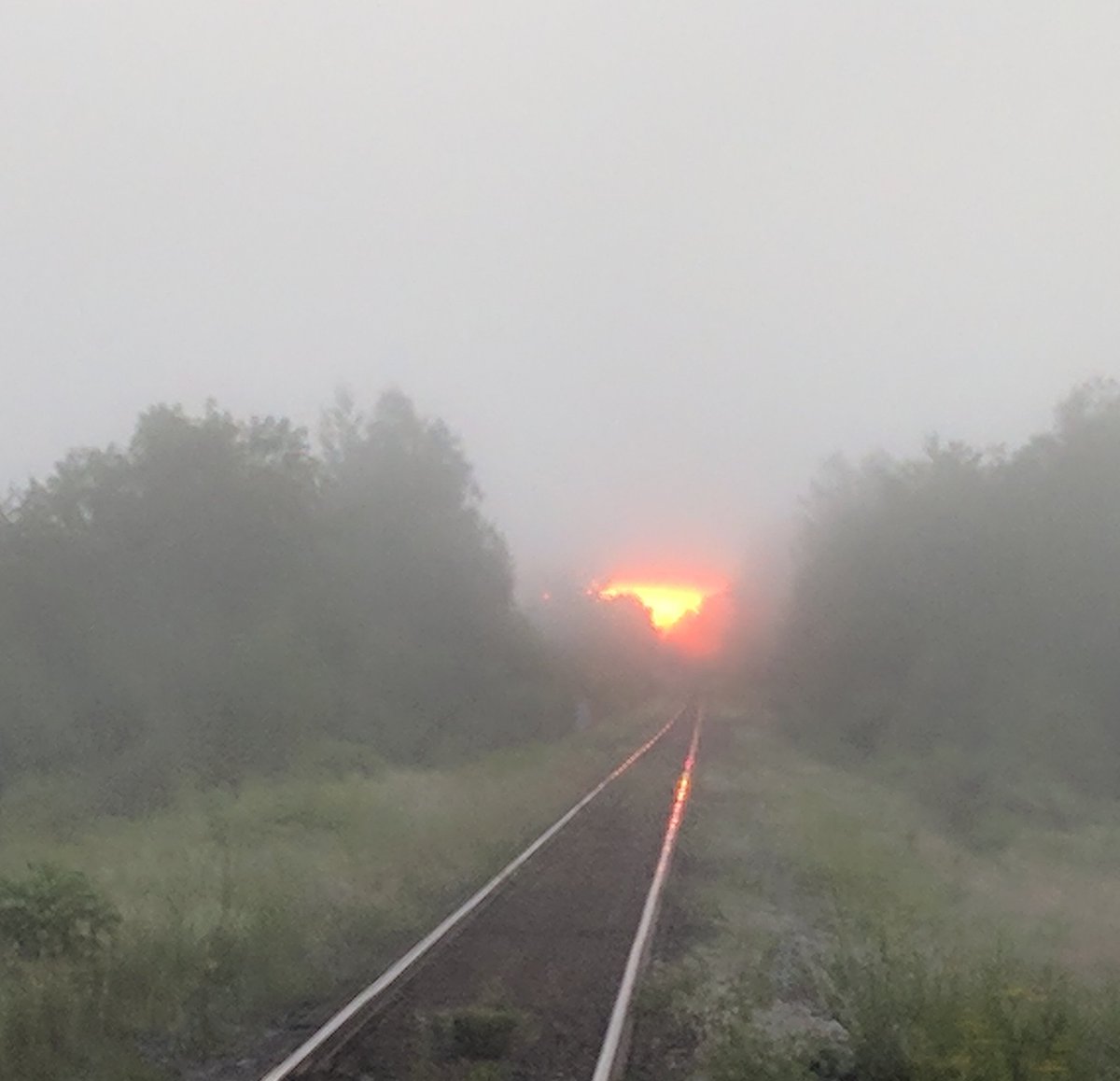 Cindy's Snapshots ctv.news/2llyEzK

East tracks in Sussex New Brunswick