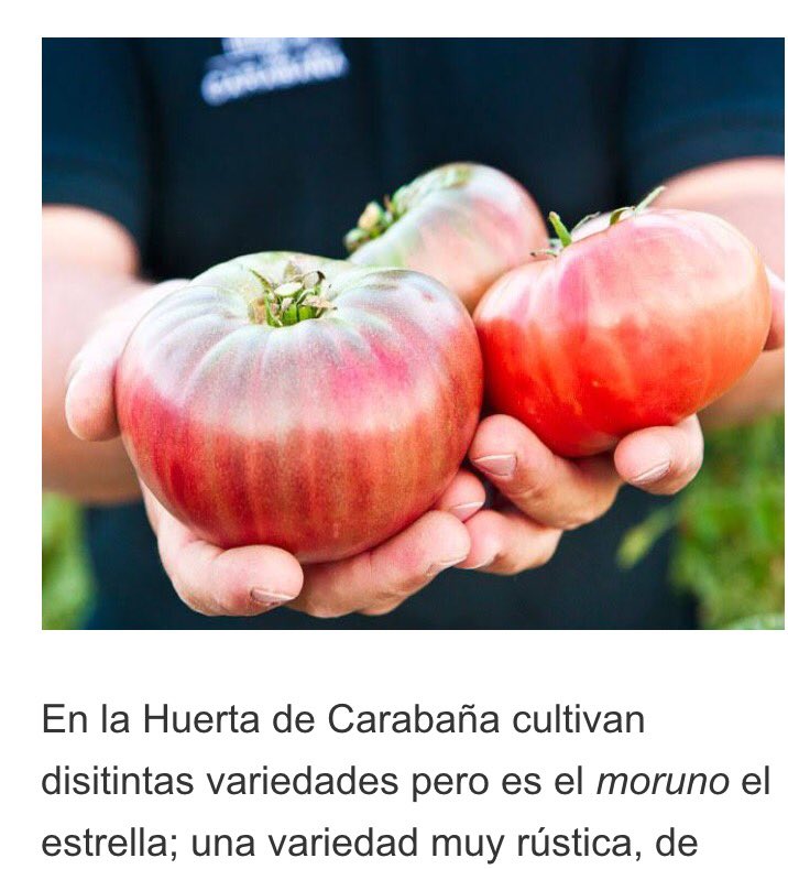 aliciahpascual's tweet photo. ¿dónde comer en #madrid #tomates q saben a #tomate? a las 13h en @HoyxHoyMadrid 🍅🍅@HuertaCarabana @FlorenDomezain @conmuchagula https://t.co/eIMo7s4YbW