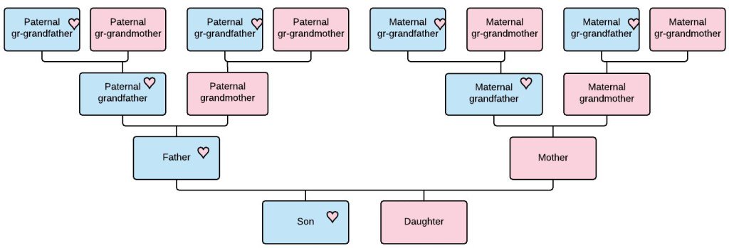 RobertaJEstes's tweet image. Concepts – Who To Test for Your Father’s DNA dna-explained.com/2017/07/19/con…