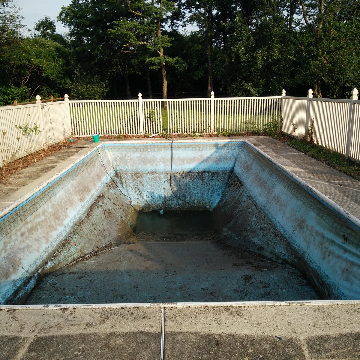 Step one complete jungle removed. Next step New Liner. #renovation