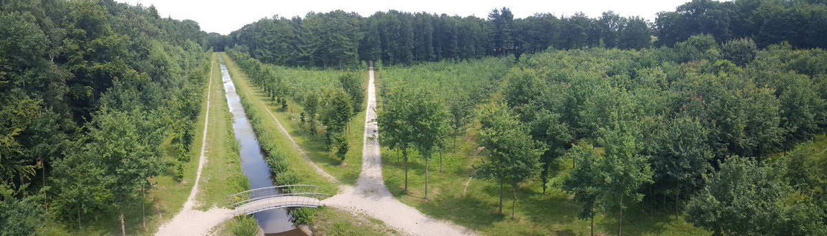 Vanuit de hoogwerker wordt het veertienlanenpunt met daartussen het #eikenhakhout van de #Schaffelaar goed zichtbaar. #glk