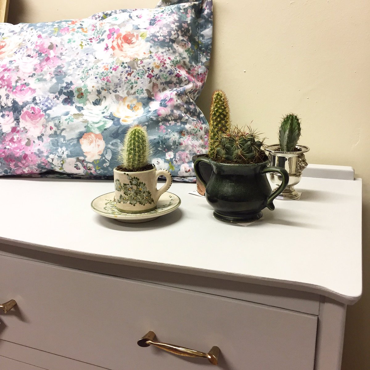 siopsioned's tweet photo. 🌵🌵🌵
#siopsioned #interiordesign #cactus #cushion #cupboard #iwantitall #keepthemalive #gogleddcymru #northwales #llanrwst @picapicahome https://t.co/CDPVkYT1bo
