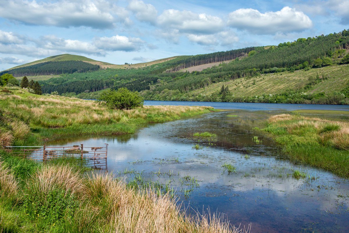 Freespirit Images are running a #BrecoBeacons Photo Taster session this weekend for £15 - book your place today! breconbeacons.wordpress.com/2017/07/19/bre…