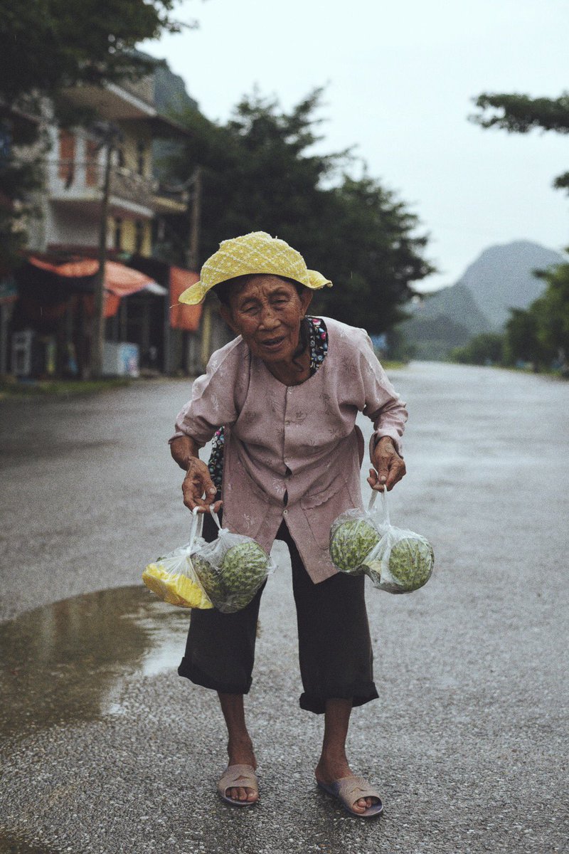 HiClavero's tweet photo. Vietnam, día 3. https://t.co/sEnhOaeu8m