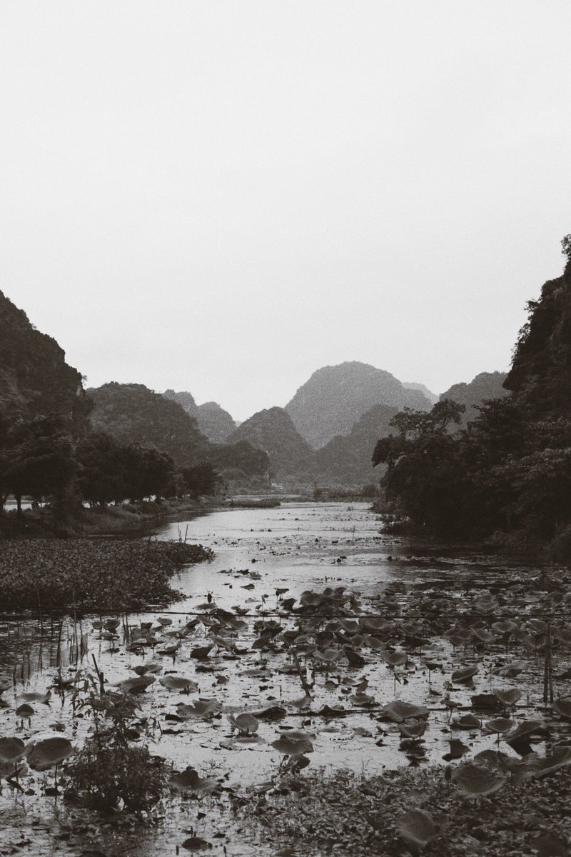 HiClavero's tweet photo. Vietnam, día 3. https://t.co/sEnhOaeu8m